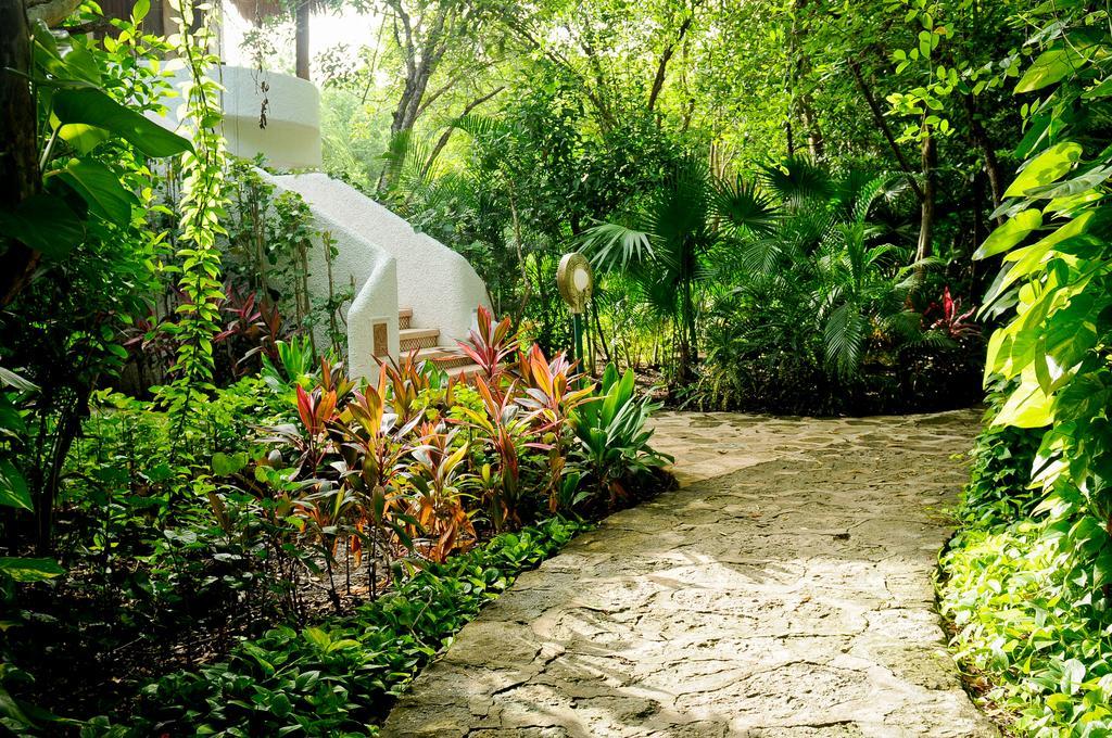 Amarte Maroma Hotel Eco Boutique Spa Punta Maroma Luaran gambar