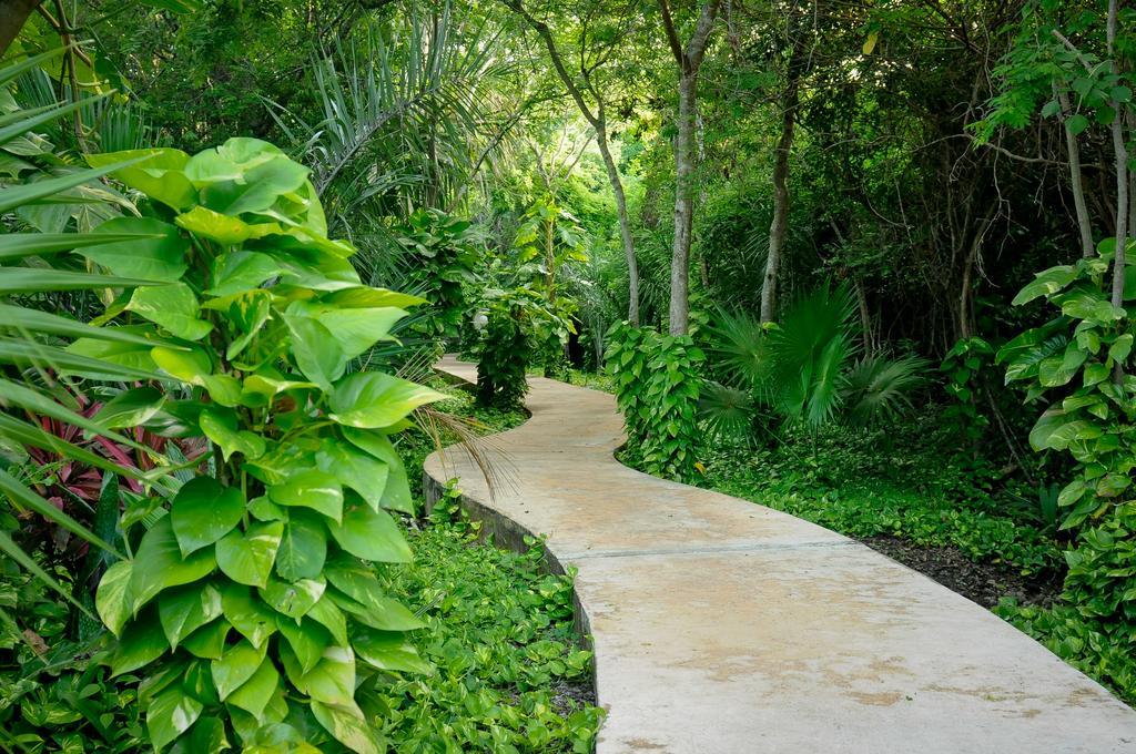 Amarte Maroma Hotel Eco Boutique Spa Punta Maroma Luaran gambar