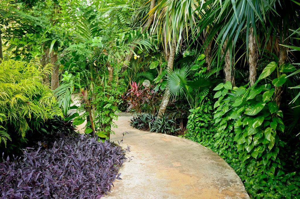 Amarte Maroma Hotel Eco Boutique Spa Punta Maroma Luaran gambar