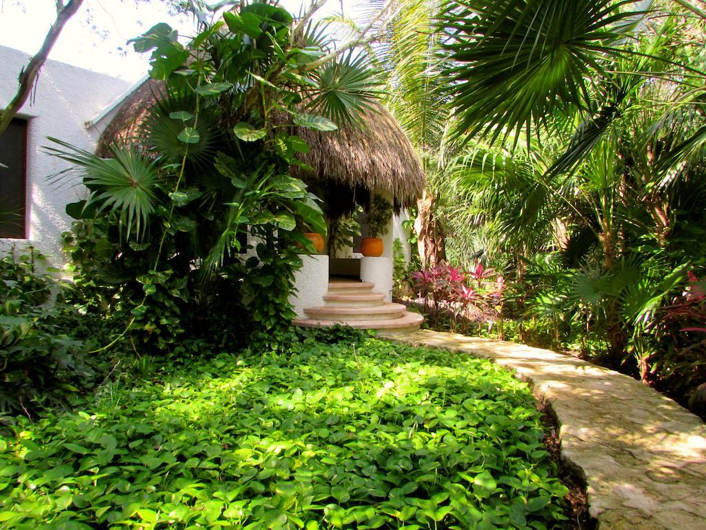 Amarte Maroma Hotel Eco Boutique Spa Punta Maroma Luaran gambar