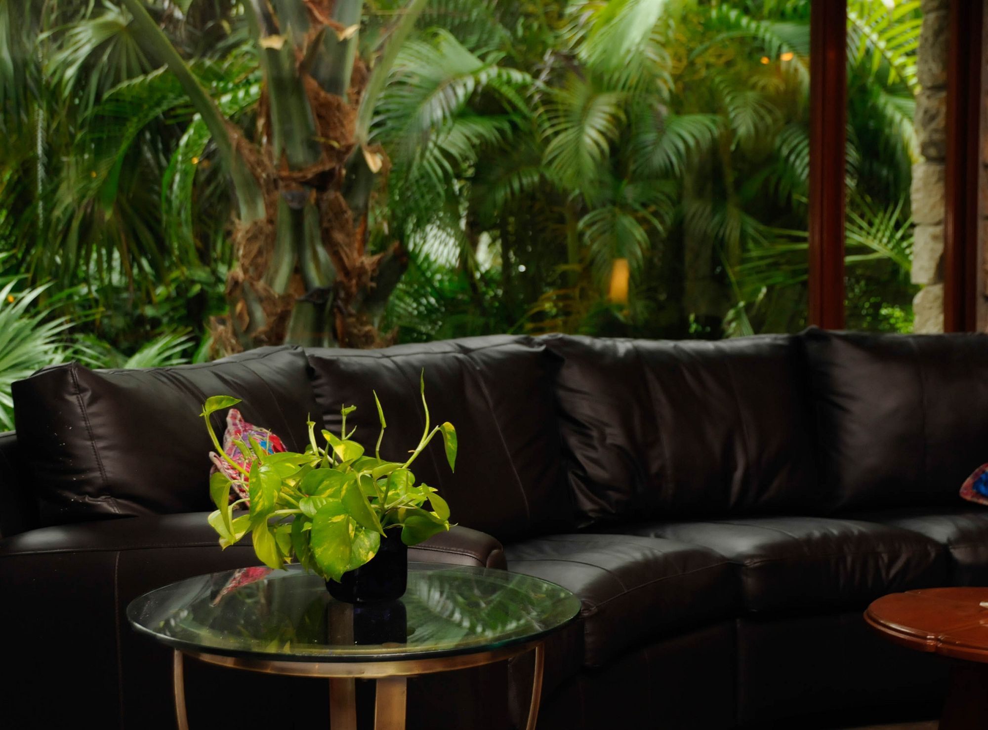 Amarte Maroma Hotel Eco Boutique Spa Punta Maroma Luaran gambar